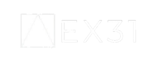 ex31 1 removebg preview2